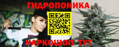 PSILOCYBIN Будённовск