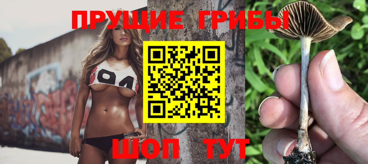 Галлюциногенные грибы Cubensis  Вход с VPN  Георгиевск 